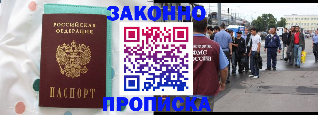 прописка 2025 в Щёкино